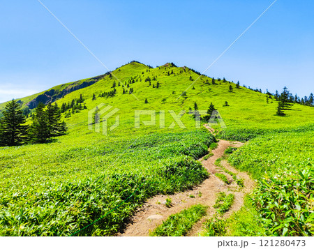 夏の四阿山・根子岳登山（四阿山～根子岳） 121280473