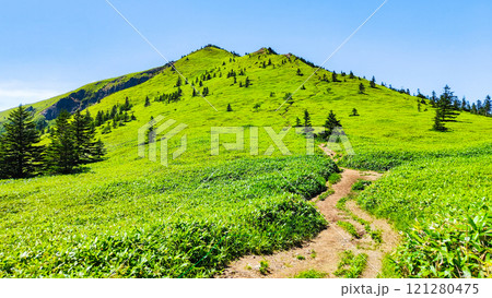 夏の四阿山・根子岳登山（四阿山～根子岳） 121280475