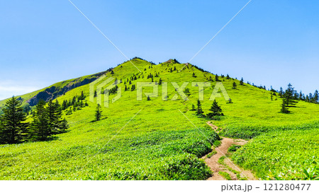 夏の四阿山・根子岳登山（四阿山～根子岳） 121280477