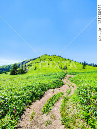 夏の四阿山・根子岳登山(四阿山~根子岳) 夏の四阿山・根子岳登山(四阿山~根子岳) 121280482