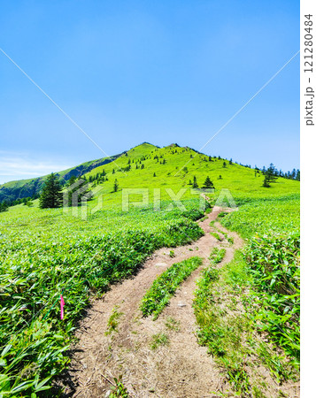 夏の四阿山・根子岳登山(四阿山~根子岳) 夏の四阿山・根子岳登山(四阿山~根子岳) 121280484
