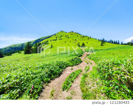 夏の四阿山・根子岳登山（四阿山～根子岳） 121280485