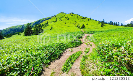 夏の四阿山・根子岳登山(四阿山~根子岳) 夏の四阿山・根子岳登山(四阿山~根子岳) 121280518