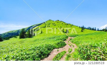 夏の四阿山・根子岳登山(四阿山~根子岳) 夏の四阿山・根子岳登山(四阿山~根子岳) 121280519