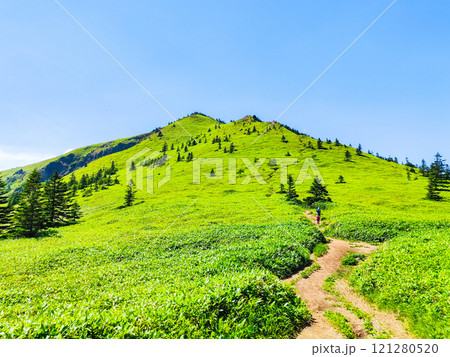 夏の四阿山・根子岳登山（四阿山～根子岳） 121280520