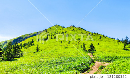 夏の四阿山・根子岳登山(四阿山~根子岳) 夏の四阿山・根子岳登山(四阿山~根子岳) 121280522