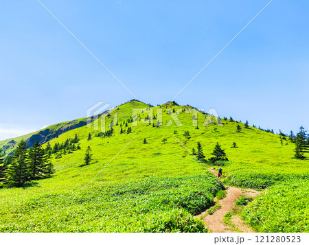 夏の四阿山・根子岳登山（四阿山～根子岳） 121280523