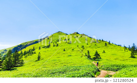 夏の四阿山・根子岳登山（四阿山～根子岳） 121280524