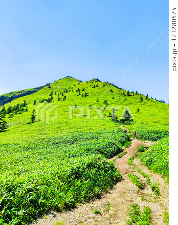 夏の四阿山・根子岳登山（四阿山～根子岳） 121280525
