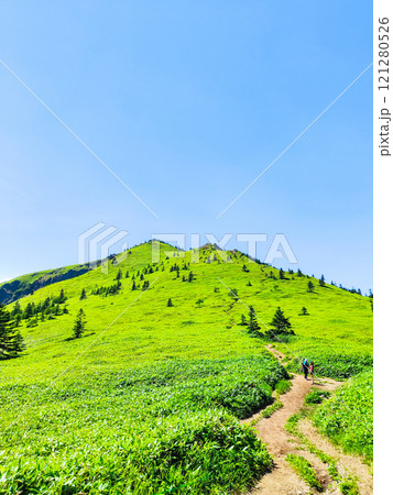 夏の四阿山・根子岳登山(四阿山~根子岳) 夏の四阿山・根子岳登山(四阿山~根子岳) 121280526