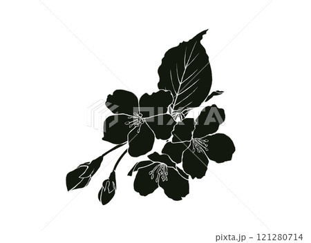 桜の花の白黒イラスト(白フチあり) 桜の花の白黒イラスト(白フチあり) 121280714