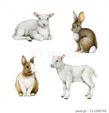 Small cute lamb, bunny farm animal set on white background hand drawn realistic vintage style illustration. Perfect for farm themed designs, baby products, Easter decor, countryside inspired projects Small cute lamb, bunny farm animal set on white background hand drawn realistic vintage style illustration. Perfect for farm themed designs, baby products, Easter decor, countryside inspired projects 121280746