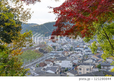 山科疏水(琵琶湖疏水)の紅葉　紅葉の並木道 121280844