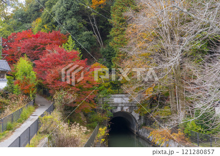 山科疏水(琵琶湖疏水)の紅葉 琵琶湖疏水第2トンネル東口 山科疏水(琵琶湖疏水)の紅葉 琵琶湖疏水第2トンネル東口 121280857