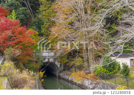 山科疏水(琵琶湖疏水)の紅葉　琵琶湖疏水第2トンネル東口 121280858