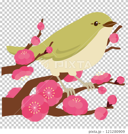 梅に鶯のベクターイラスト(紅梅・八重) 梅に鶯のベクターイラスト(紅梅・八重) 121280909