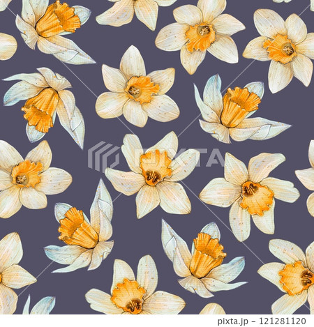 Seamless watercolor pattern Spring Flowers Narcissus Seamless watercolor pattern Spring Flowers Narcissus 121281120