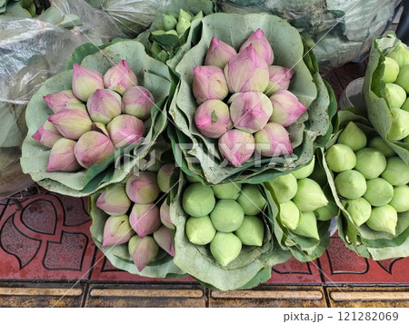 蓮の花束 121282069