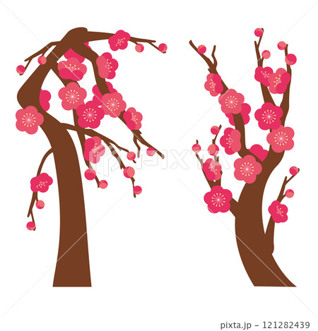 紅梅の木（枝垂れ梅と普通の梅）のベクターイラストセット 121282439