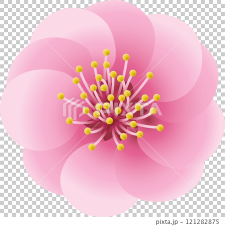 Red plum, double Red plum, double 121282875