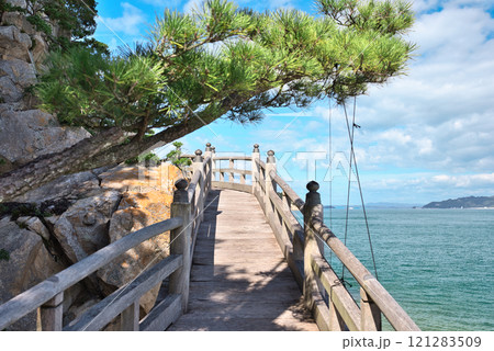 竹居観音岬 竹居観音岬 121283509