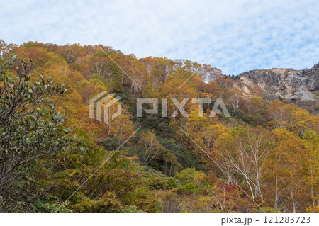 白山砂防新道の紅葉 白山砂防新道の紅葉 121283723