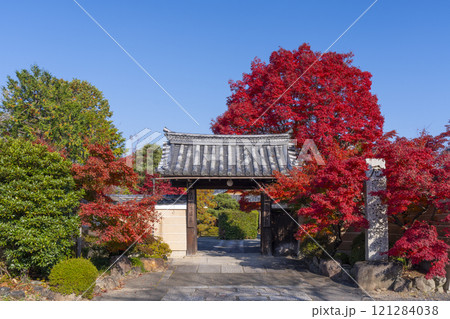 秋の京都 神光院 紅葉に包まれた山門 秋の京都 神光院 紅葉に包まれた山門 121284038