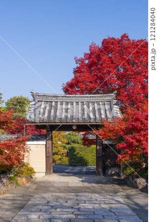 秋の京都　神光院　紅葉に包まれた山門 121284040