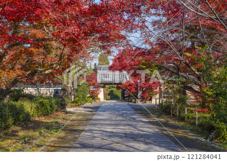 秋の京都　神光院　紅葉に包まれた山門 121284041