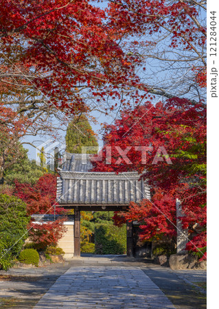 秋の京都 神光院 紅葉に包まれた山門 秋の京都 神光院 紅葉に包まれた山門 121284044