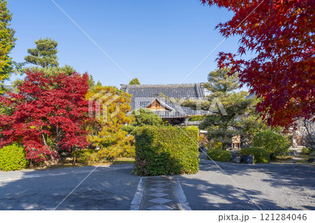 秋の京都　神光院　紅葉に包まれた境内 121284046