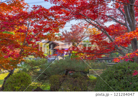 秋の京都　神光院　紅葉に包まれた弁財天社 121284047