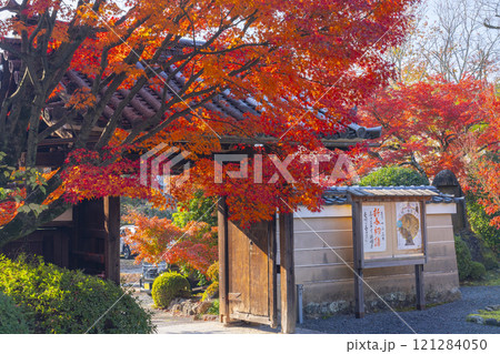 秋の京都 神光院 紅葉に包まれた山門 秋の京都 神光院 紅葉に包まれた山門 121284050