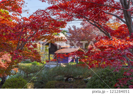秋の京都　神光院　紅葉に包まれた弁財天社 121284051