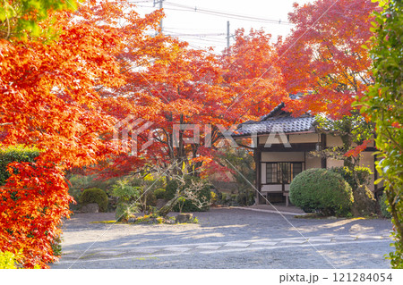 秋の京都 神光院 紅葉に包まれた茶室「蓮月庵」 秋の京都 神光院 紅葉に包まれた茶室「蓮月庵」 121284054