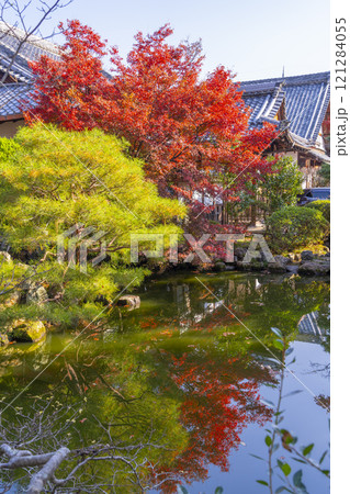 秋の京都 神光院 紅葉に包まれた放生池 秋の京都 神光院 紅葉に包まれた放生池 121284055
