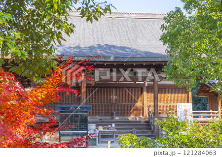 秋の京都　神光院　紅葉に包まれた本堂 121284063