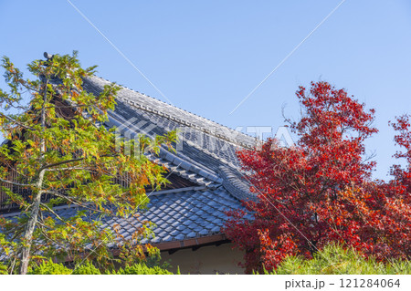 秋の京都　神光院　紅葉に包まれた本堂屋根 121284064