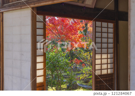 秋の京都　神光院　蓮月庵から見える紅葉 121284067