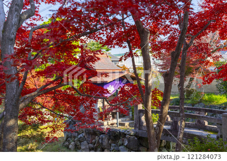 秋の京都　神光院　紅葉に包まれた弁財天社 121284073