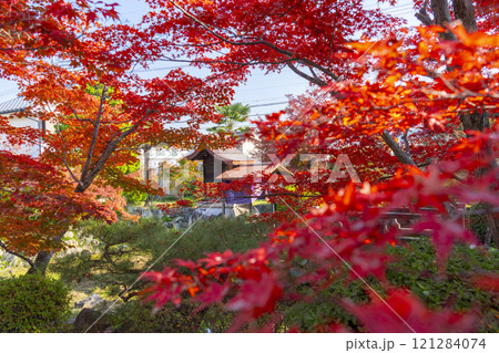 秋の京都　神光院　紅葉に包まれた弁財天社 121284074