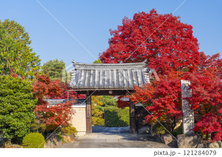 秋の京都 神光院 紅葉に包まれた山門 秋の京都 神光院 紅葉に包まれた山門 121284079
