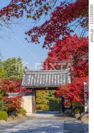 秋の京都 神光院 紅葉に包まれた山門 秋の京都 神光院 紅葉に包まれた山門 121284080