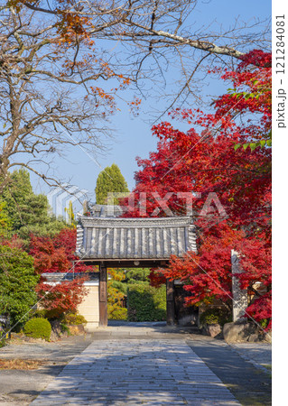秋の京都　神光院　紅葉に包まれた山門 121284081