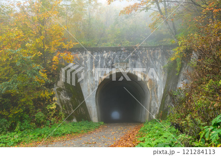 紅葉とトンネル 121284113