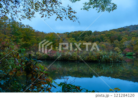 鎌池の空 121284120
