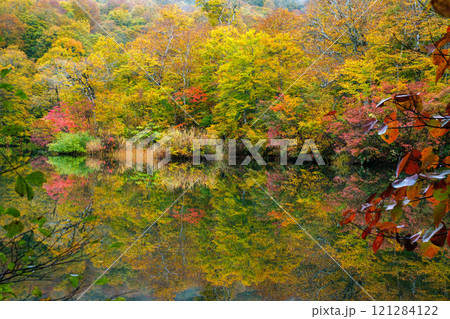 鎌池の夜明け 121284122