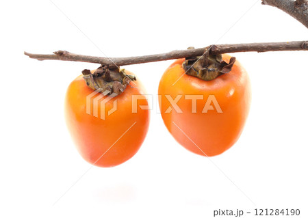 美味しそうな筆柿 美味しそうな筆柿 121284190