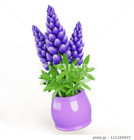 3d lupine meadow flower in pot. Violet bouquet of lupin wildflower in purple vase. Cartoon grass plant bush with green leaf and blossom for home interior decor, isolated render icon. 3D illustration 3d lupine meadow flower in pot. Violet bouquet of lupin wildflower in purple vase. Cartoon grass plant bush with green leaf and blossom for home interior decor, isolated render icon. 3D illustration 121284835