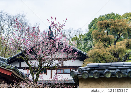唐招提寺の醍醐の井戸 唐招提寺の醍醐の井戸 121285557